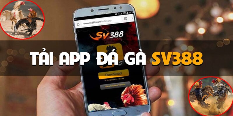 Hướng dẫn chi tiết tải app SV388 nhanh chóng - hiệu quả 
