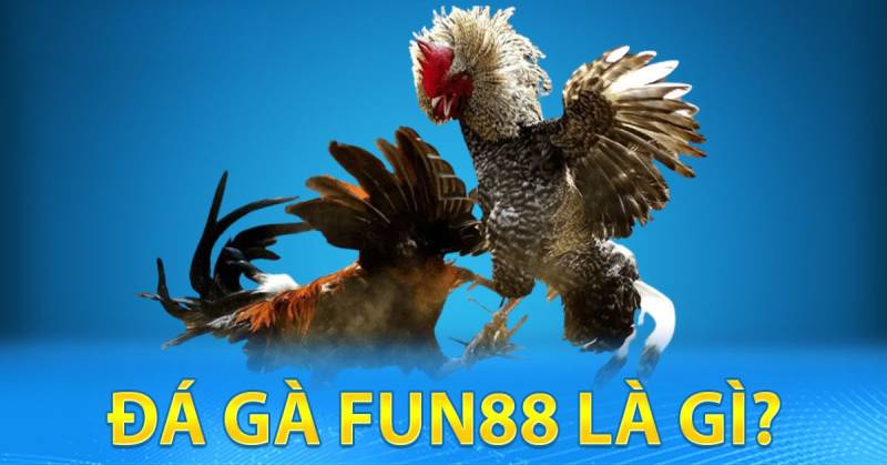 Ưu điểm nổi bật của thể loại đá gà tại Fun88